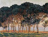 Famous Trees Paintings - Under the Pine Trees at the End of the Day